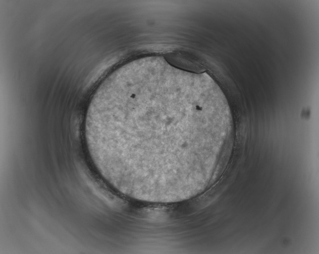 X0000116490120201001061149