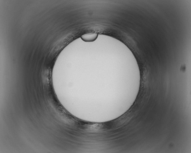 X0000116490122201001061149