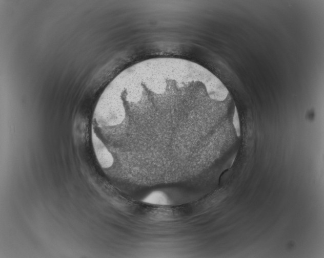 X0000116490123201001061149