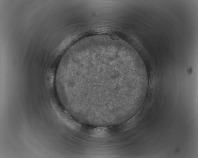 X0000116490124201001061149