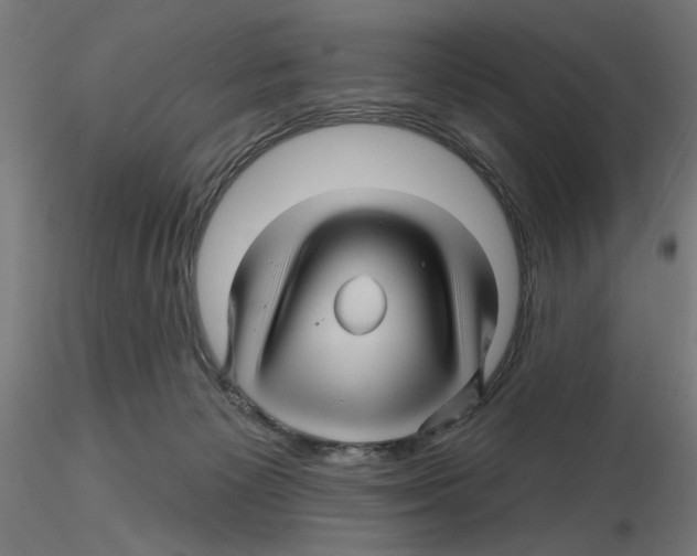 X0000116490125201001061149