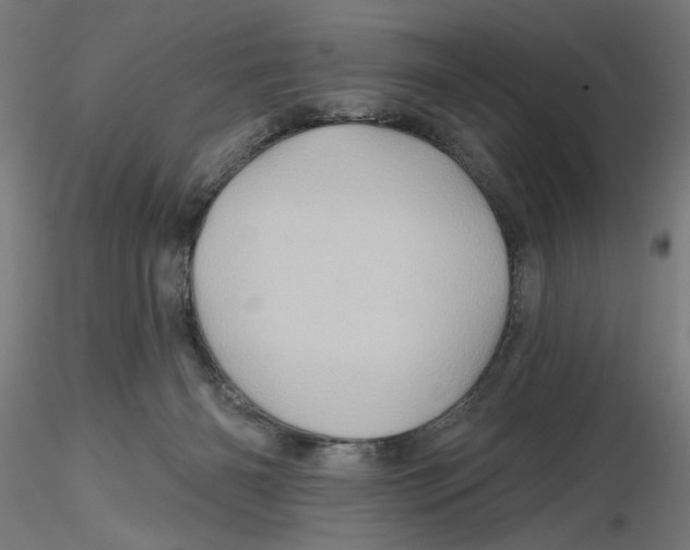 X0000116490126201001061149