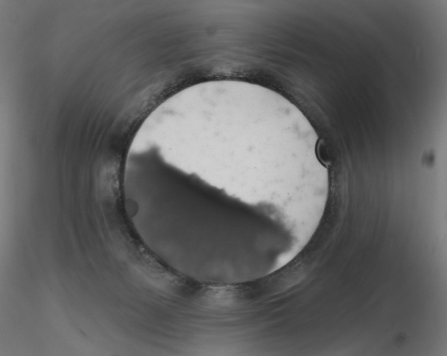 X0000116490127201001061149