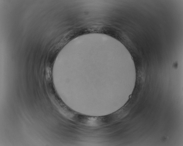 X0000116490130201001061149