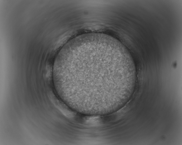 X0000116490132201001061149