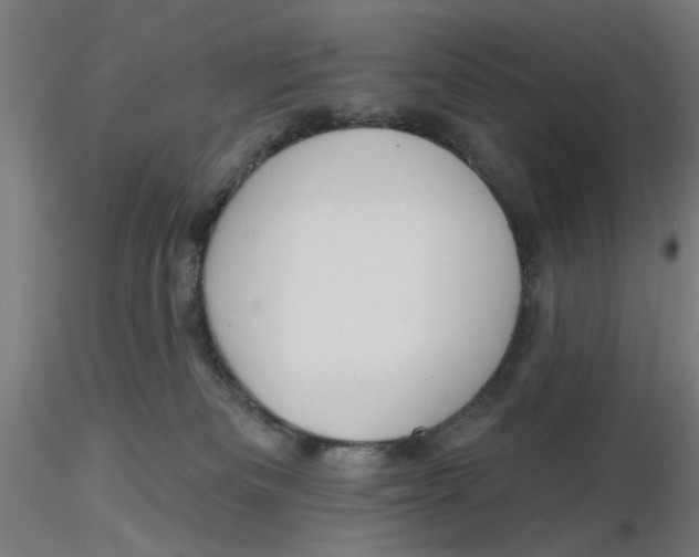 X0000116490133201001061149