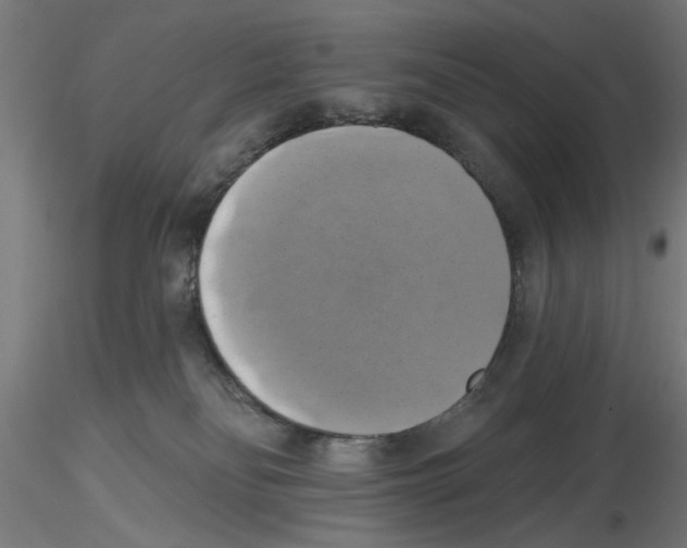 X0000116490134201001061149