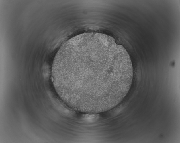 X0000116490135201001061149