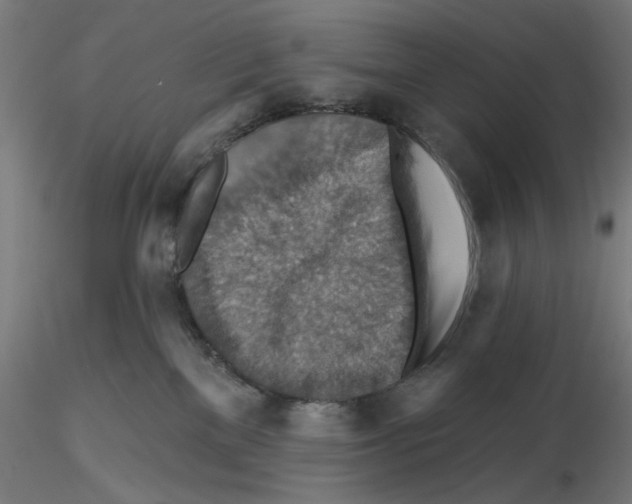 X0000116490137201001061149