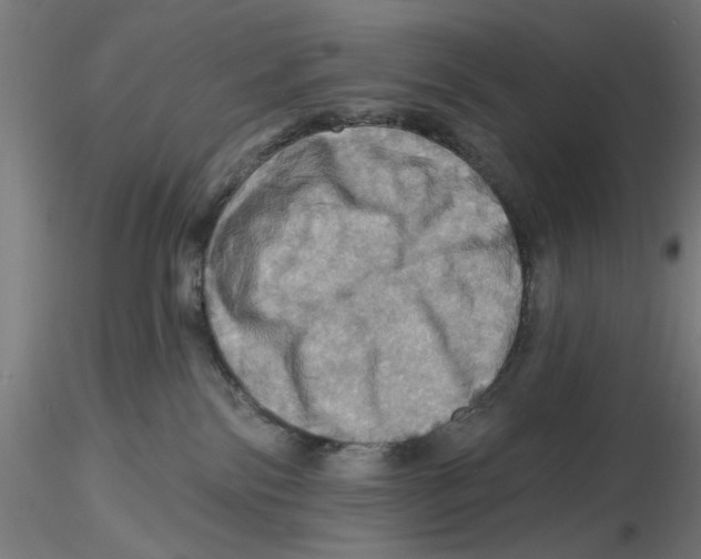 X0000116490138201001061149