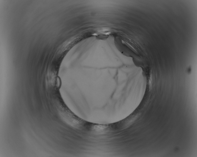 X0000116490139201001061149