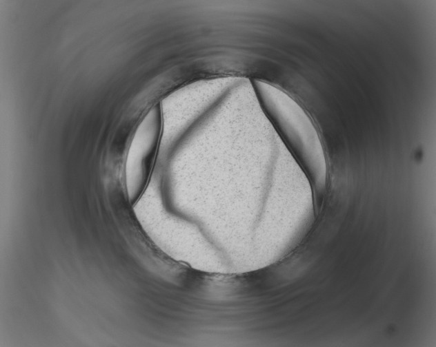 X0000116490141201001061149