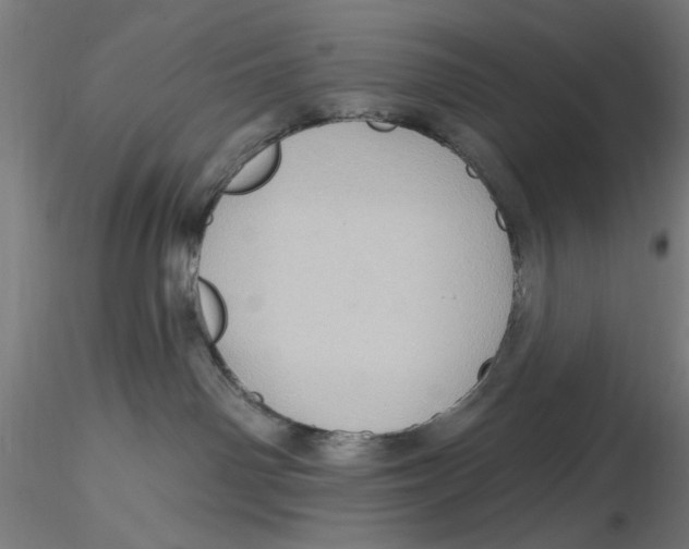 X0000116490142201001061149