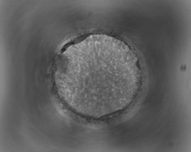 X0000116490144201001061149