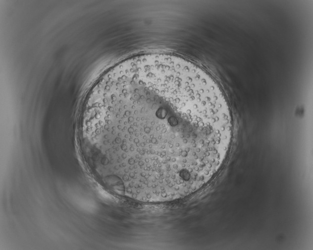 X0000116490145201001061148