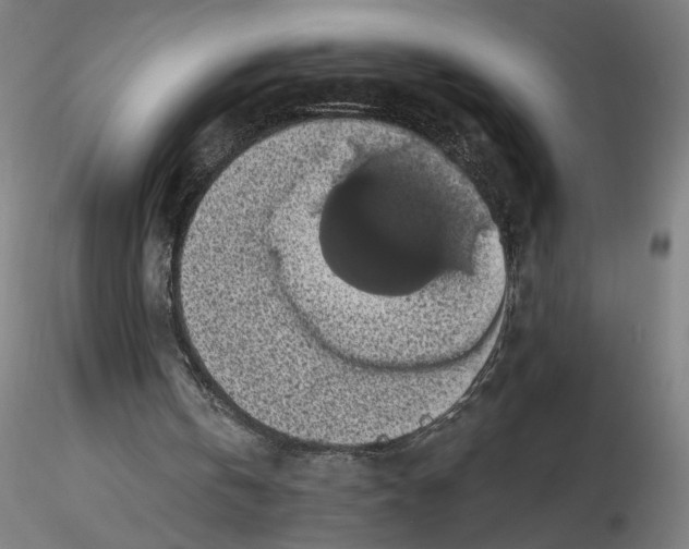 X0000116490146201001061148