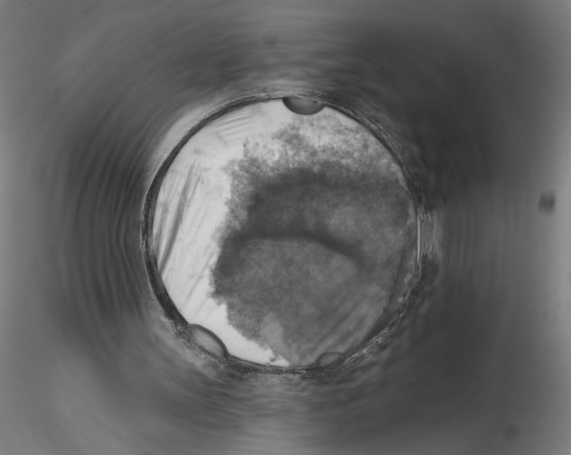 X0000116490147201001061148