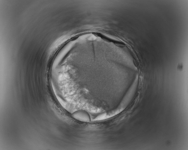 X0000116490149201001061148