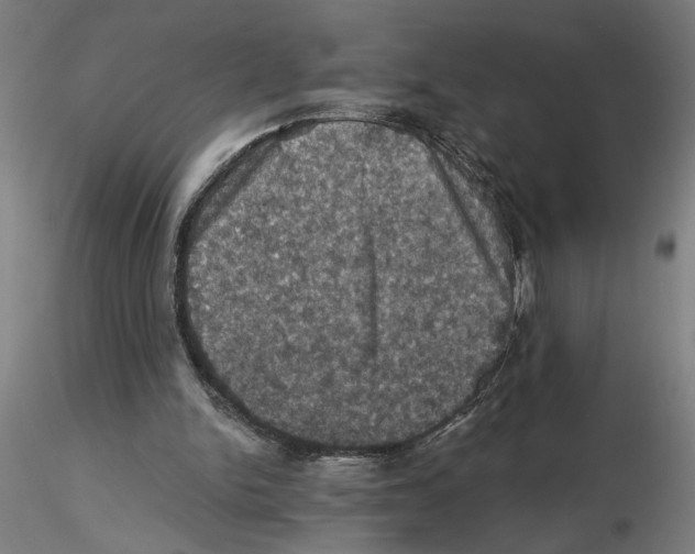 X0000116490150201001061148