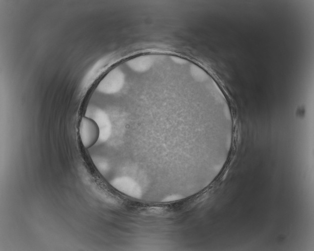 X0000116490151201001061148