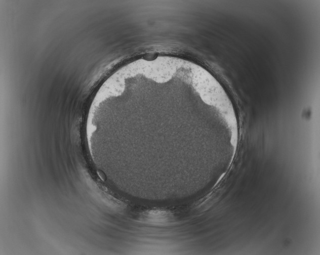 X0000116490154201001061148