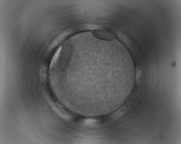 X0000116490158201001061148