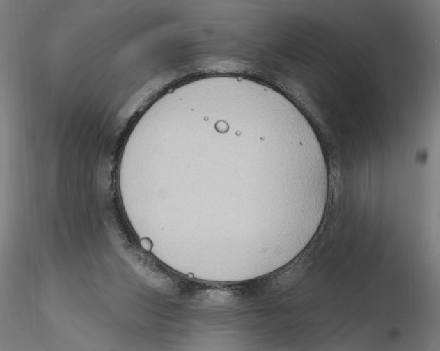 X0000116490159201001061148