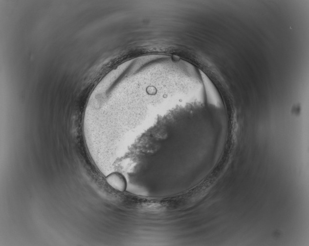 X0000116490161201001061148