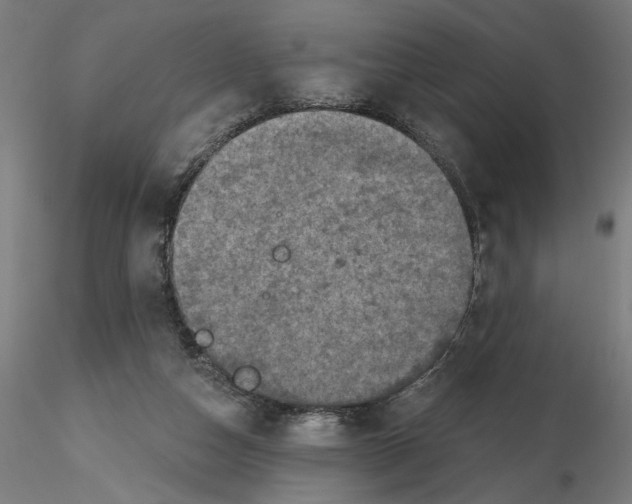 X0000116490162201001061148