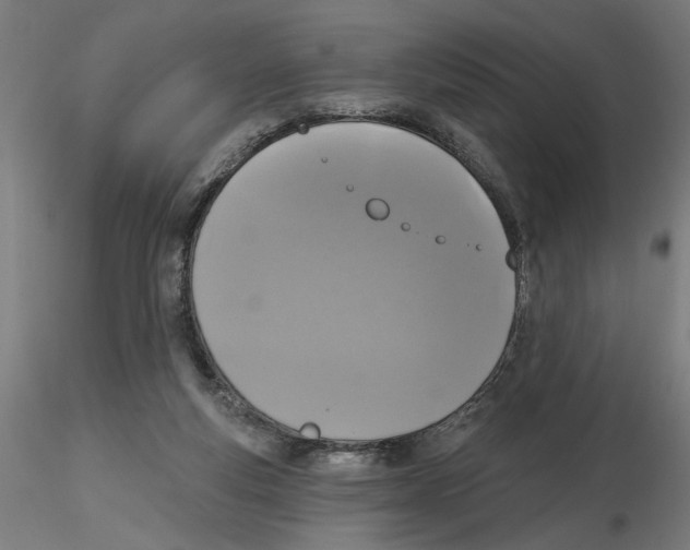 X0000116490163201001061148