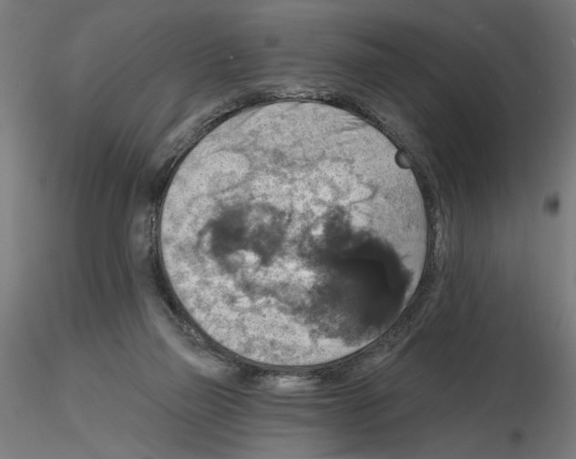 X0000116490165201001061148