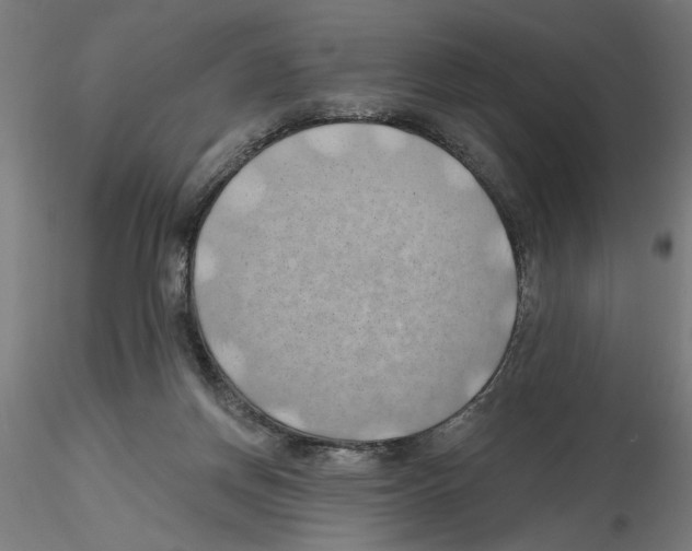 X0000116490166201001061148