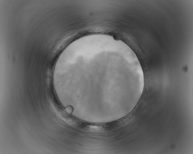 X0000116490167201001061148