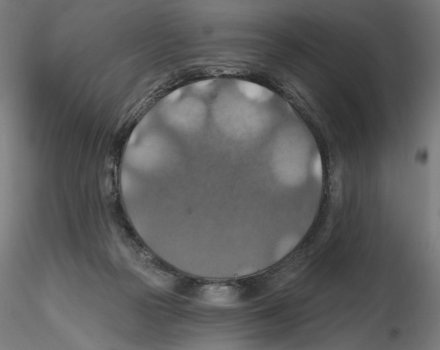 X0000116490169201001061148