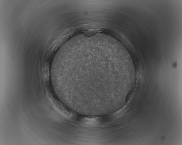 X0000116490170201001061149