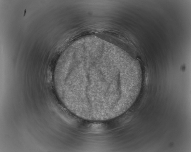 X0000116490173201001061149