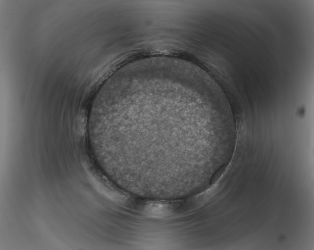 X0000116490174201001061149