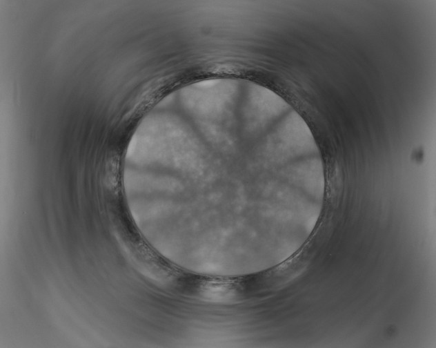 X0000116490175201001061149