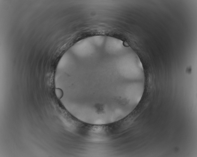 X0000116490177201001061149