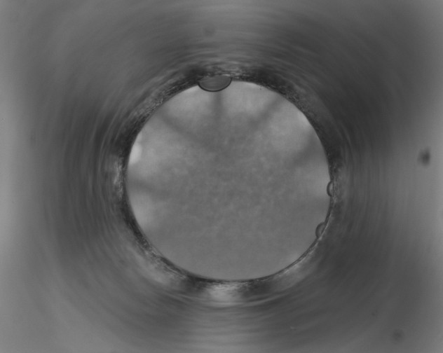 X0000116490178201001061149