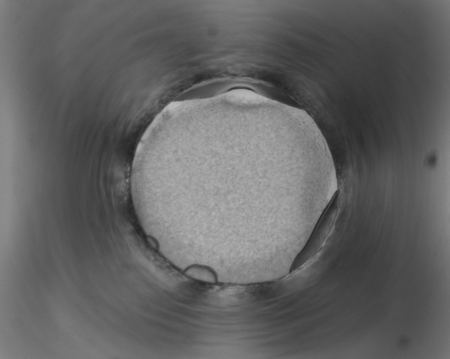 X0000116490186201001061149