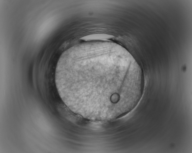 X0000116490190201001061149