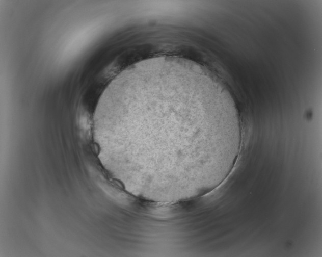 X0000116490191201001061149