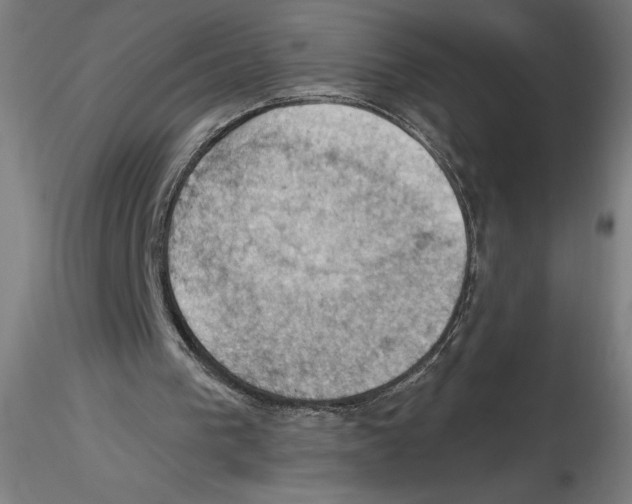 X0000116490193201001061148