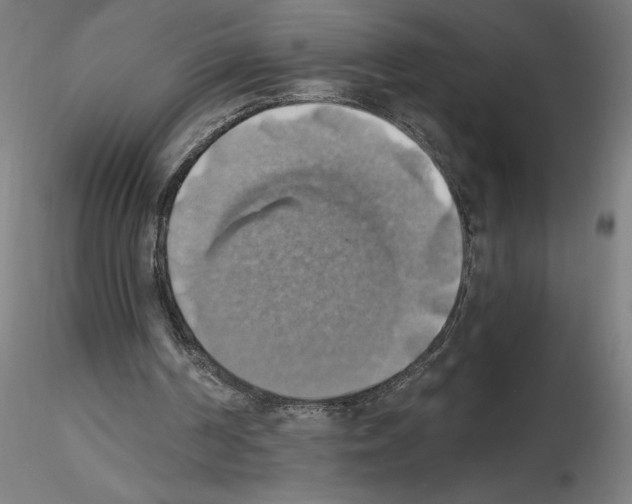 X0000116490194201001061148