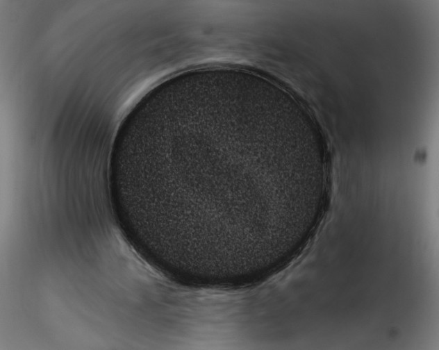 X0000116490196201001061148