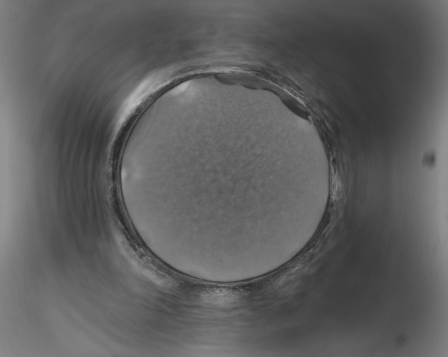 X0000116490198201001061148