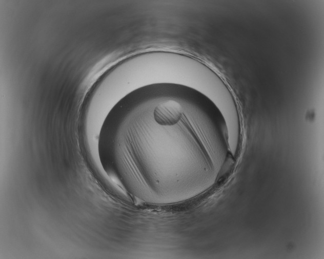 X0000116490199201001061148