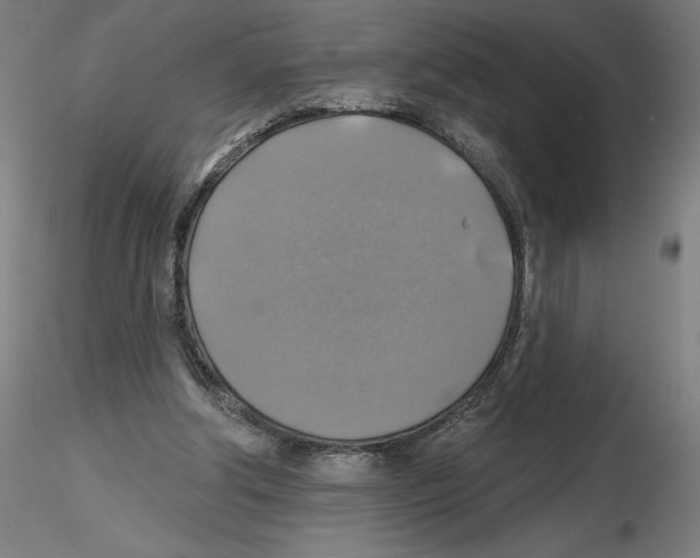 X0000116490202201001061148