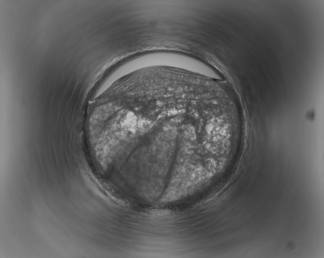 X0000116490203201001061148